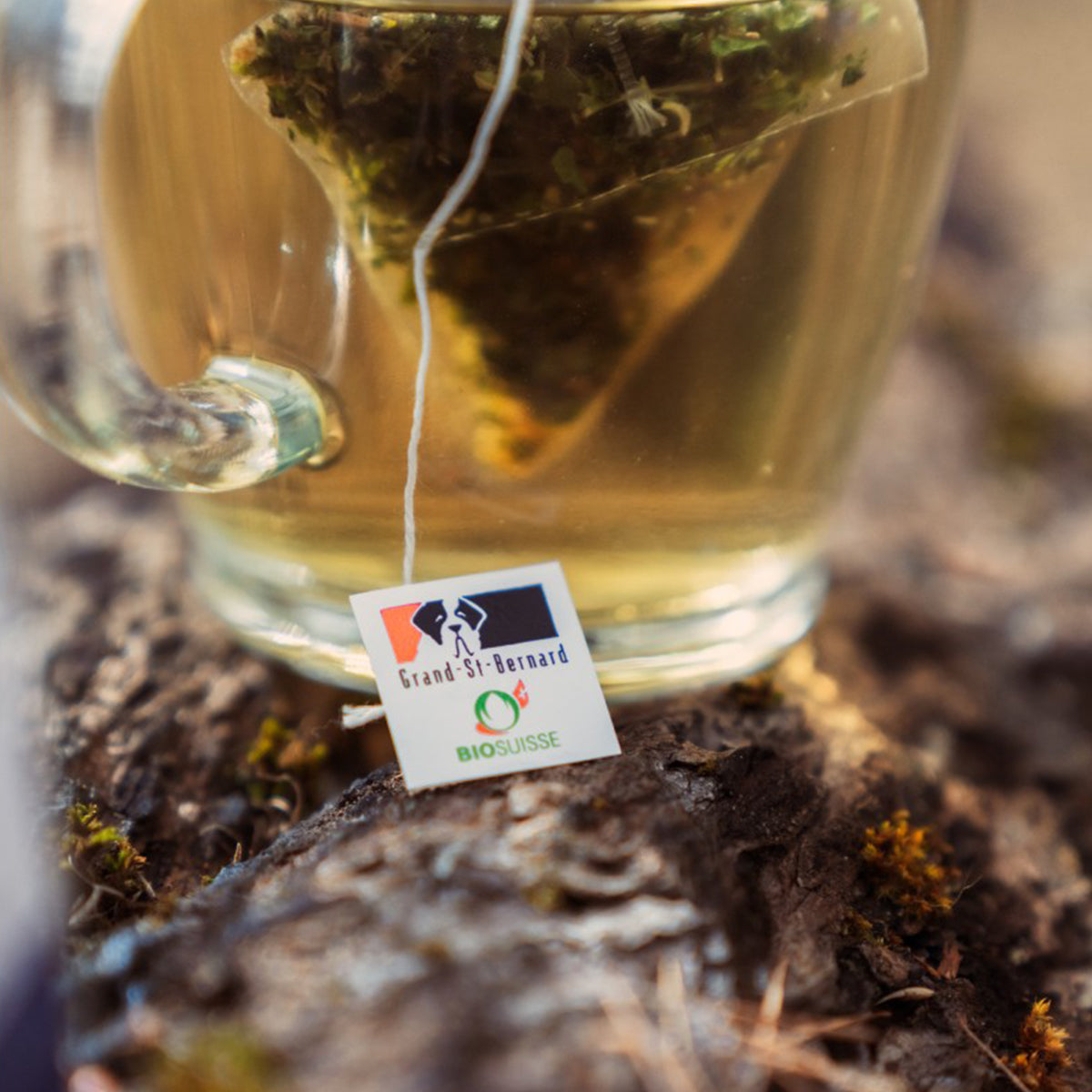 Swiss Tea Rbands Swiss Tea, Organic Tea Infusion ”CHAMOMILE INFUSION”, Herbal Tea ...